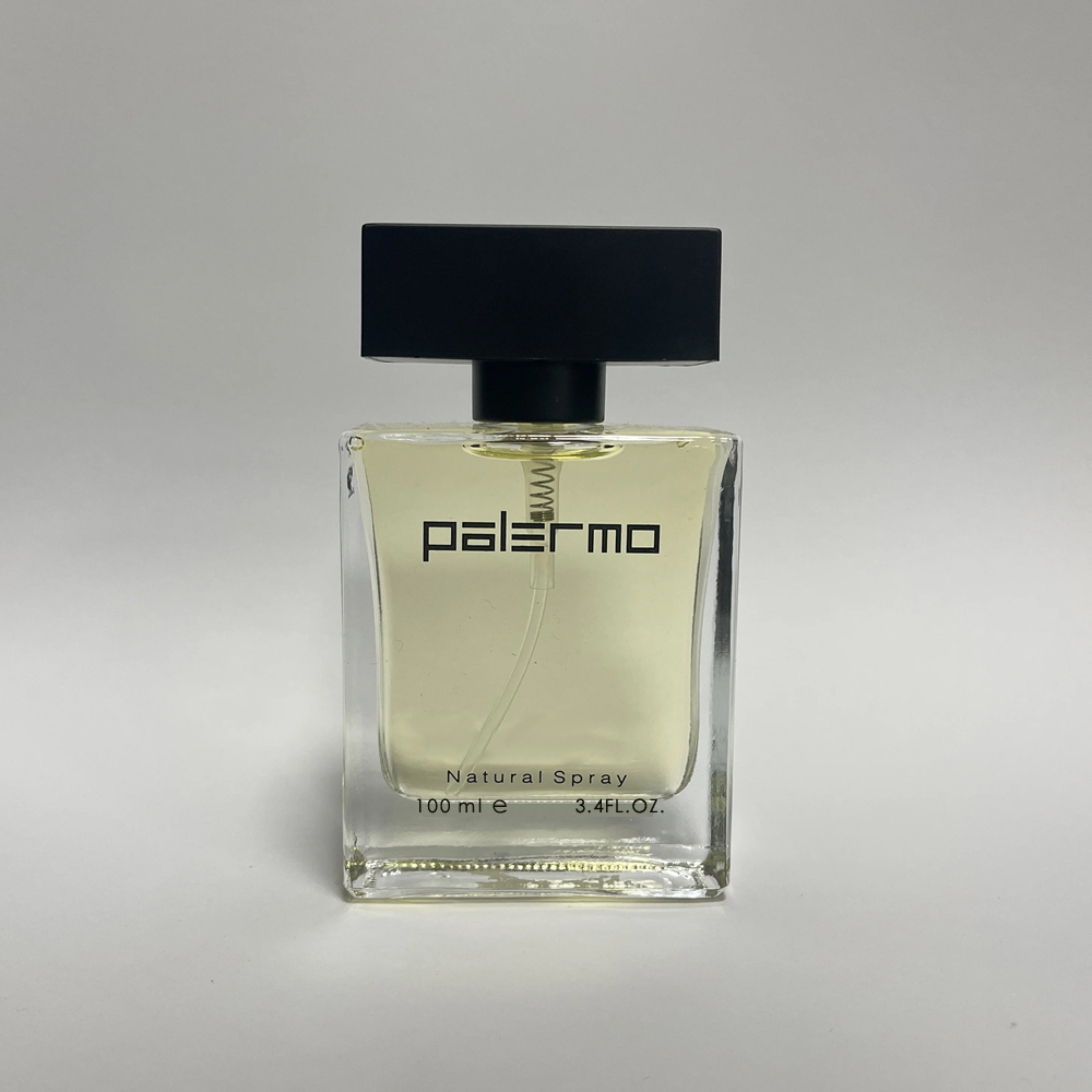 PALERMO COLLECTION E078 ERKEK PARFÜMÜ 100 ml